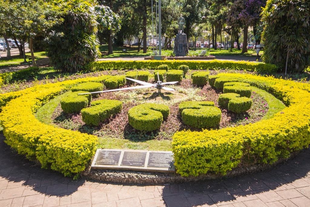 Relógio Floral