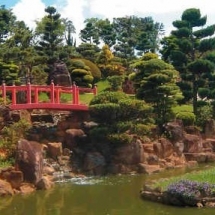 jardim-japones-ribeirao-preto