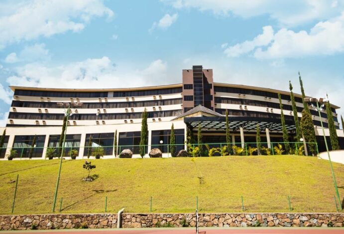 Do Karaokê à Cerveja: O Que Esperar da NovemberFest do Golden Park!