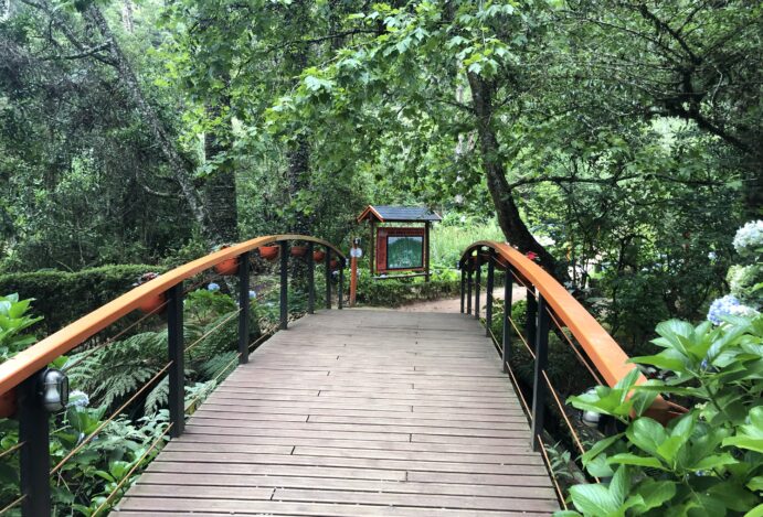 Iceland – Bar de Gelo