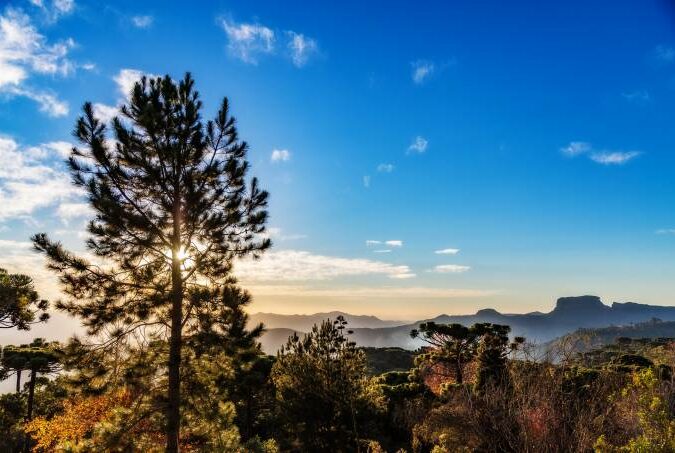 campos-do-jordao-janeiro