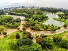 Roteiro verde em São Paulo: confira alguns lugares conhecer no destino!