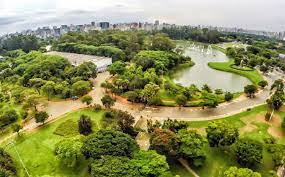 Roteiro verde em São Paulo: confira alguns lugares conhecer no destino!