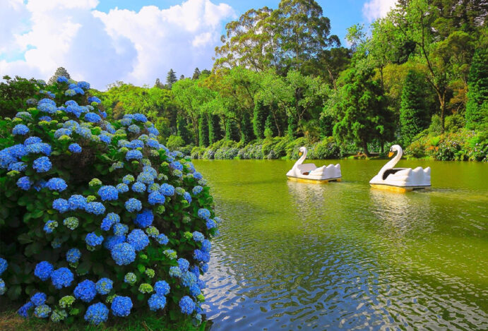 Onde se hospedar em São Paulo