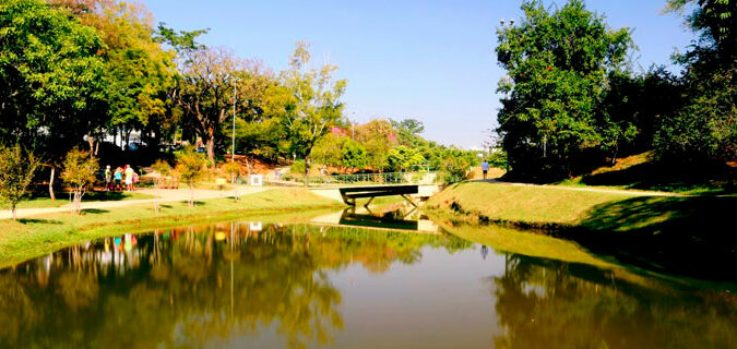 Descubra o Parque Prefeito Luiz Roberto Jábali (Parque Curupira)