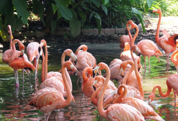 Conheça 5 atrações turísticas na cidade de Foz do Iguaçu