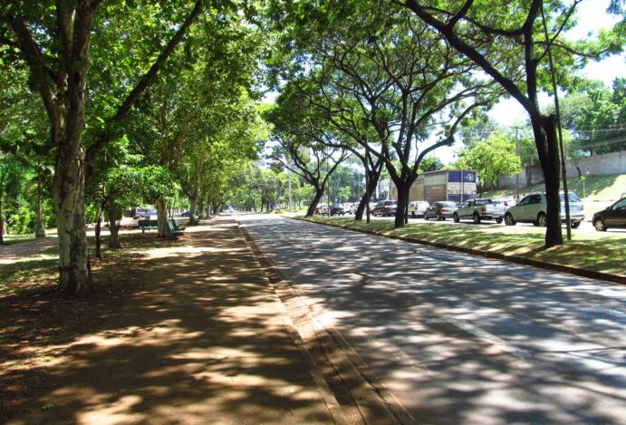 Do Oriente ao Ocidente: A Dança Culinária que Encanta Paladares em Foz do Iguaçu