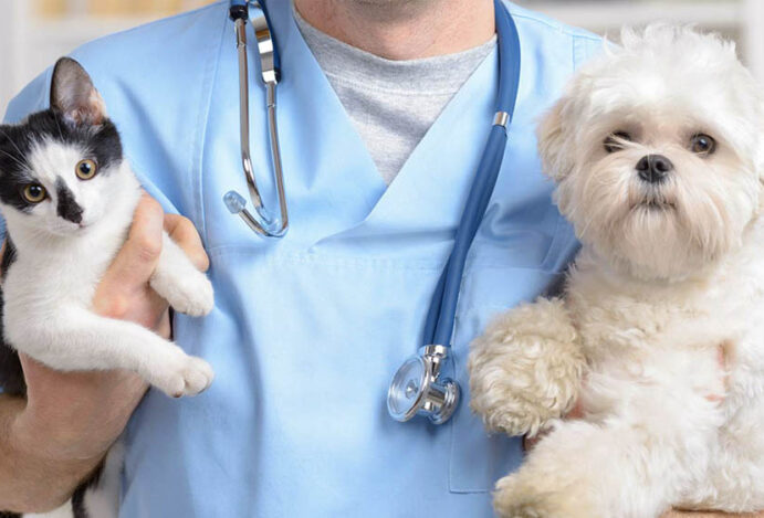 divertir com família em Foz do Iguaçu