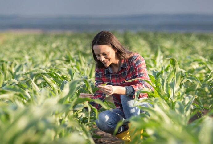 divertir com família em Foz do Iguaçu