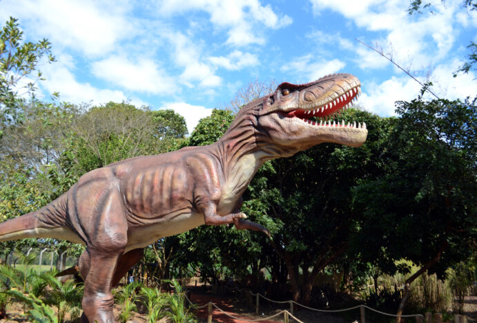 divertir com família em Foz do Iguaçu