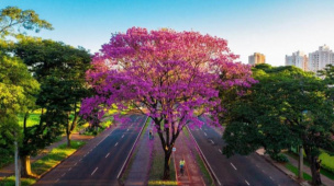 Conheça Curitiba e as 5 principais cidades do Paraná