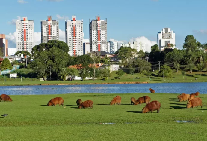 Conhecendo Curitiba passeio público