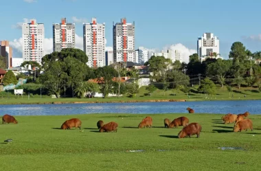 Conhecendo Curitiba passeio público: 5 detalhes incríveis