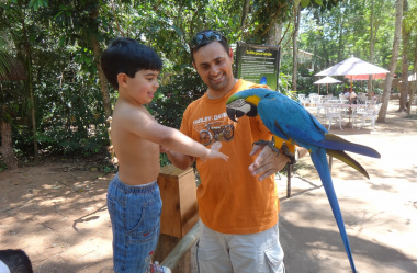 O que fazer em Foz do Iguaçu no domingo: 12 sugestões