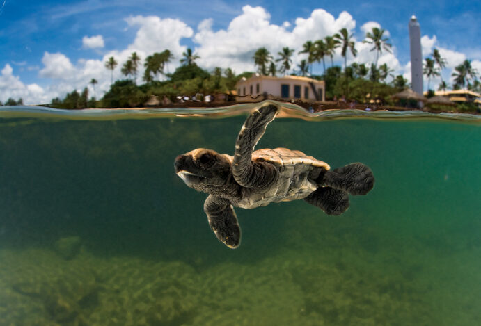 Cinco destinos especiais para uma viagem curta em família