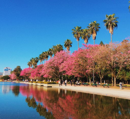 Porto Alegre: O Palco Colorido da Cultura Alternativa e Arte Urbana