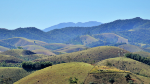 Explorando o Campo em Barretos: Uma Experiência Rural Inesquecível