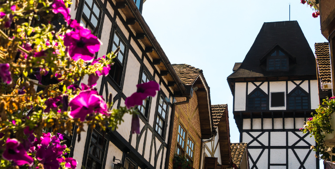 Explorando Campos do Jordão Como um Morador Local: Guia de Aventuras Culturais e Naturais