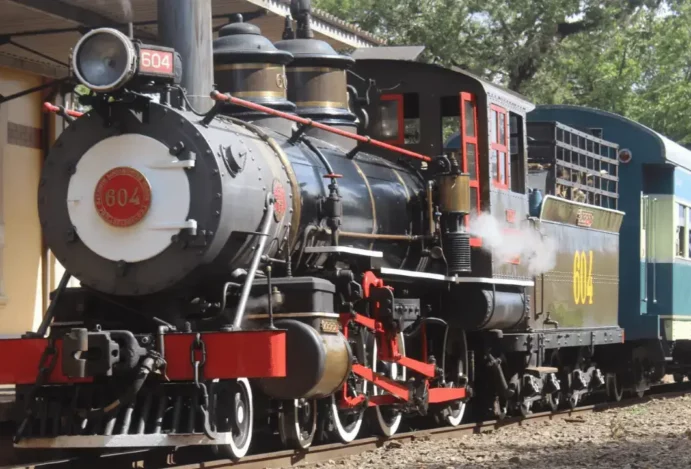 10 passeios gratuitos em Campinas: aproveite o melhor da cidade sem gastar nada!