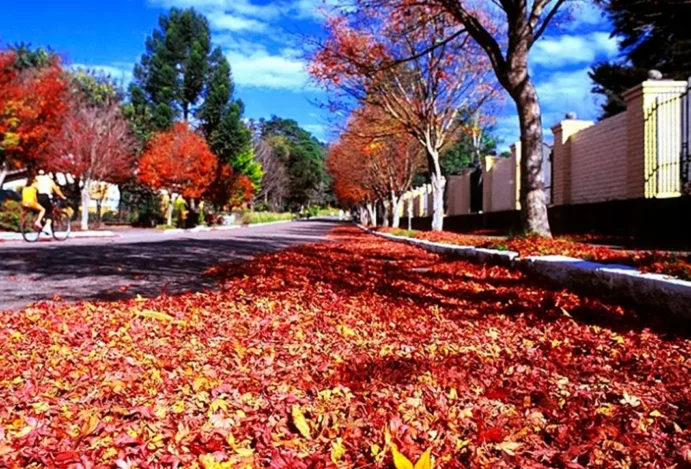 Onde é Porto Alegre: guia essencial