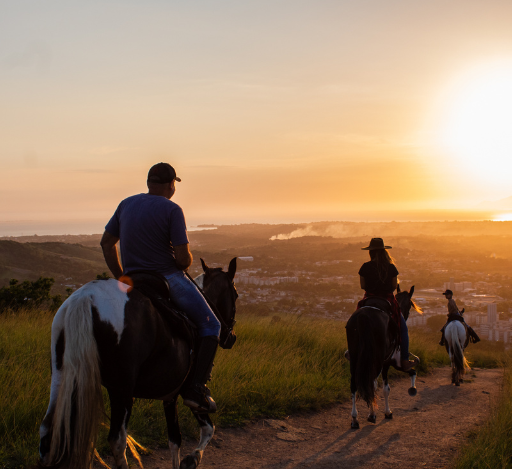 As Belezas de Campos do Jordão e Opções de Passeios a Cavalo