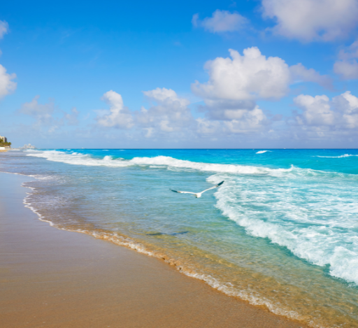 Passeios em Jaboatão dos Guararapes: conheça as belezas da cidade pernambucana