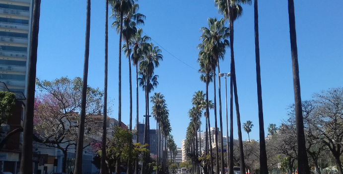 Entre Parques e Halteres: Uma Jornada Pelos Bairros de Porto Alegre em Busca do Bem-Estar