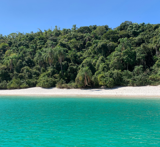 11 Tesouros Gastronômicos de Angra dos Reis