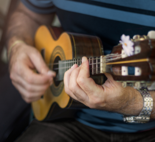 Samba, Suor e Alegria: Celebrando 15 Anos de Diogo Nogueira no Rio de Janeiro
