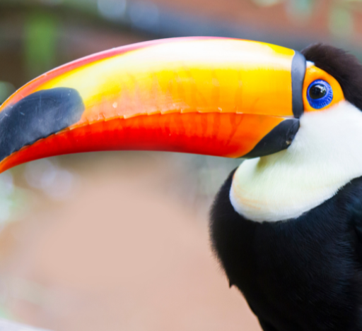 Riquezas da Terra: O Tesouro Biodiverso do Parque Nacional do Iguaçu