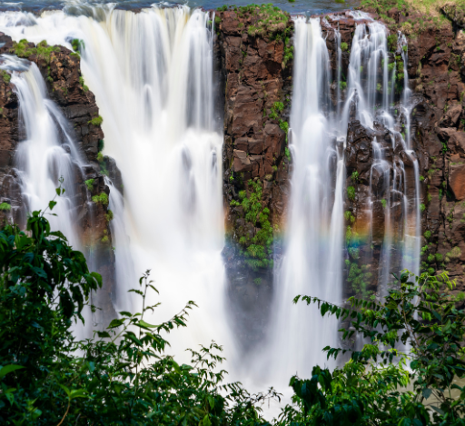 Riquezas da Terra: O Tesouro Biodiverso do Parque Nacional do Iguaçu
