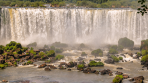 Riquezas da Terra: O Tesouro Biodiverso do Parque Nacional do Iguaçu