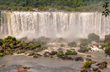 Riquezas da Terra: O Tesouro Biodiverso do Parque Nacional do Iguaçu