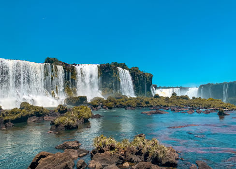 Riquezas da Terra: O Tesouro Biodiverso do Parque Nacional do Iguaçu
