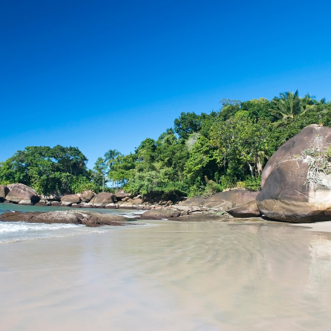 Ubatuba além das Ondas: Uma Jornada Cultural pela Cidade! - Blog Hotéis ...