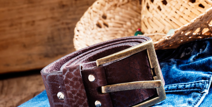 Do Sertão para o Coração: Zé Ramalho em Performance Única no Rio