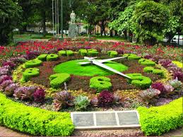 Entre Árvores Centenárias e Histórias: Um Passeio pelo Parque José Affonso Junqueira