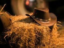 Curitiba Country Festival 2024: O Evento Que Vai Fazer Seu Coração Bater no Ritmo do Sertanejo