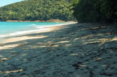 Caminhadas, Praias e Comunidades: Explore o Núcleo Picinguaba e se Encante com a Natureza