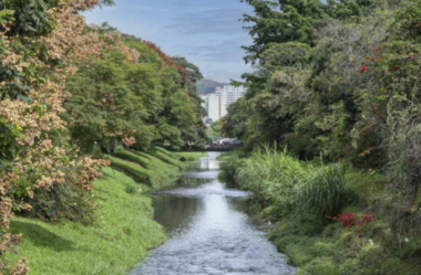 Poços de Caldas: O Destino Perfeito para um Dia dos Namorados Inesquecível