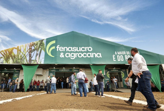 Carnaval 2025: Ribeirão nota 10 na festa, Dan Inn nota mil no conforto!