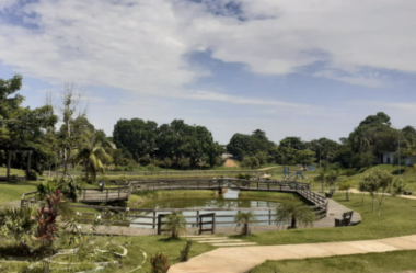 Um Dia Verdejante: Família, Diversão e Natureza no Parque das Acácias