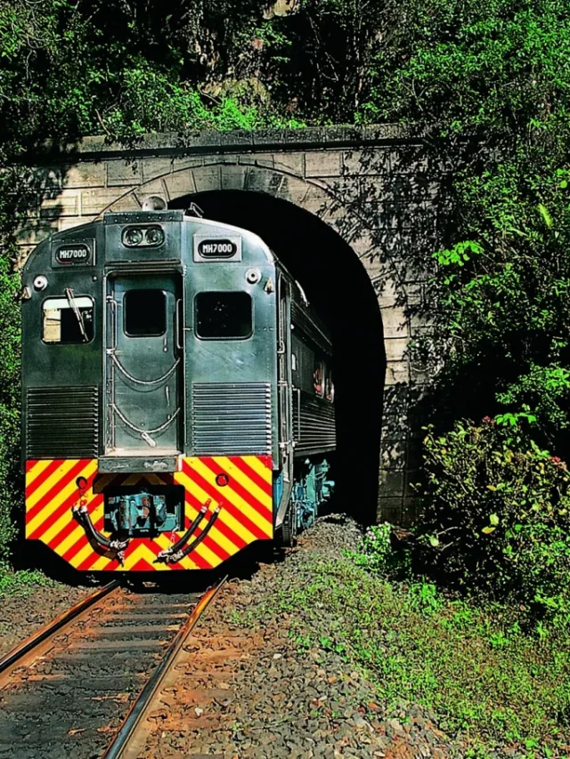 O passeio de trem de Curitiba até Morretes