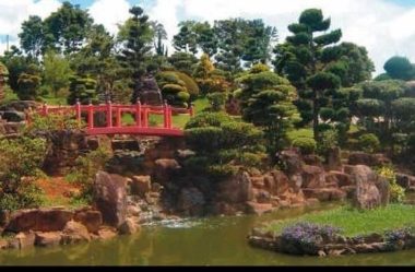 Descubra o Encanto do Bosque e Zoológico Fábio Barreto em Ribeirão Preto