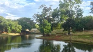 Descubra o Parque das Artes em Ribeirão Preto: Um Refúgio Cultural e Natural