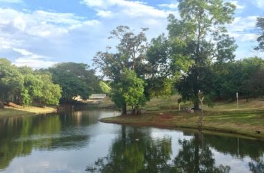 Descubra o Parque das Artes em Ribeirão Preto: Um Refúgio Cultural e Natural