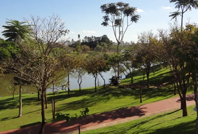 Descubra o Bosque Municipal Rangel Pietraroia: Um Refúgio Natural em Araçatuba