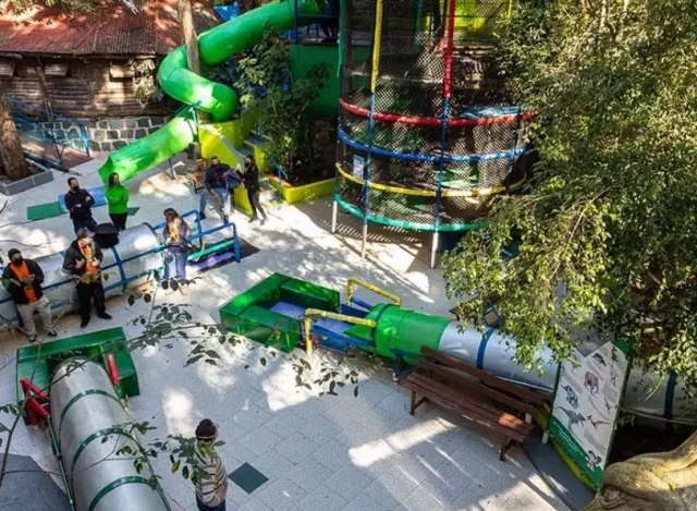 Curitiba para Crianças: Os Melhores Destinos para Toda a Família