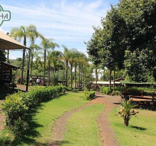 De Parques a Gelatos: O Roteiro Ideal para um Dia das Crianças Brilhante em Franca!