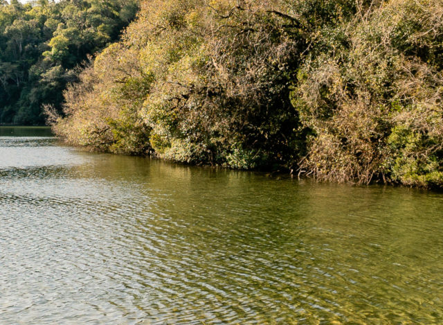 Ritmo das Estradas: Pequenas Jornadas, Grandes Descobertas a Partir de Curitiba